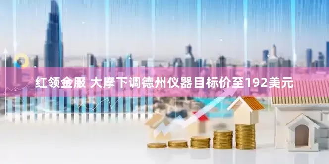 红领金服 大摩下调德州仪器目标价至192美元