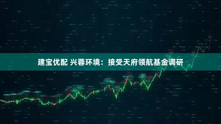 建宝优配 兴蓉环境：接受天府领航基金调研