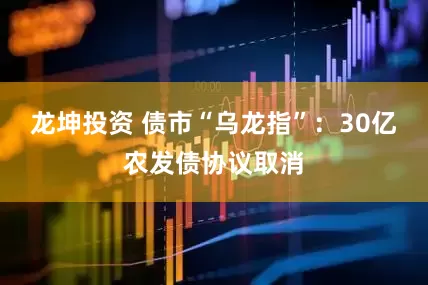 龙坤投资 债市“乌龙指”：30亿农发债协议取消